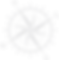 rosa.png